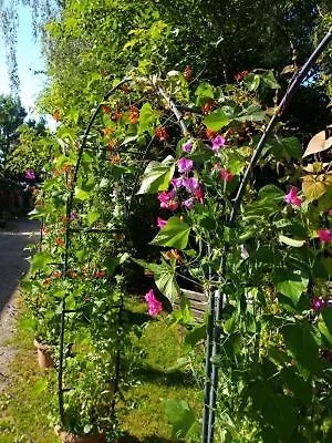 An Der Alten Ziegelei Apartment *