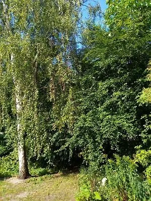 An Der Alten Ziegelei