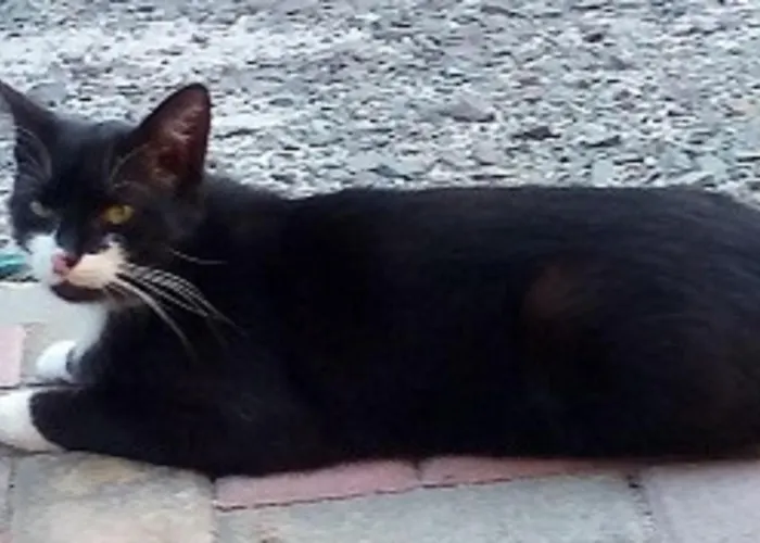 Appartement An Der Alten Ziegelei *